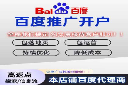 百度推广与SEO结合的营销策略案例分享